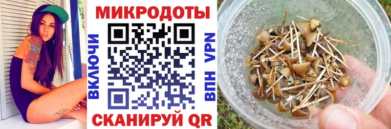 Псилоцибиновые грибы мухоморы  Камбарка 